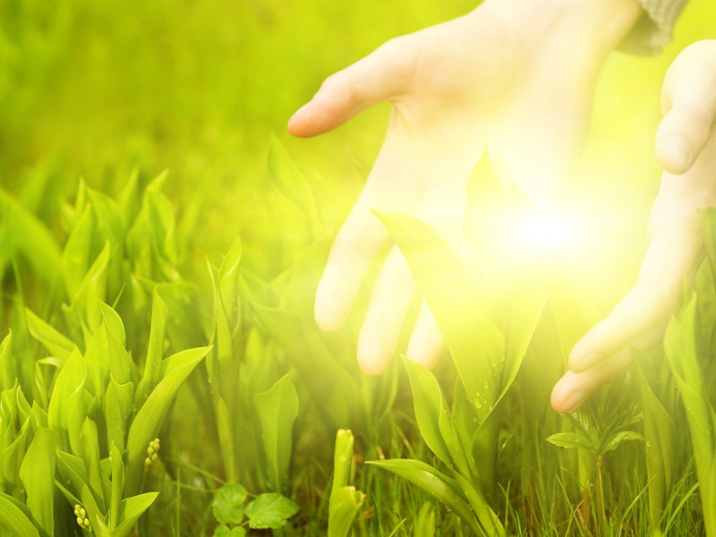 manifestation-secrets